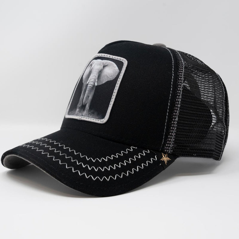 GOLD STAR -ELEPHANT TRUCKER HAT - BLACK