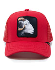 GOLD STAR- GOAT TRUCKER HAT - RED