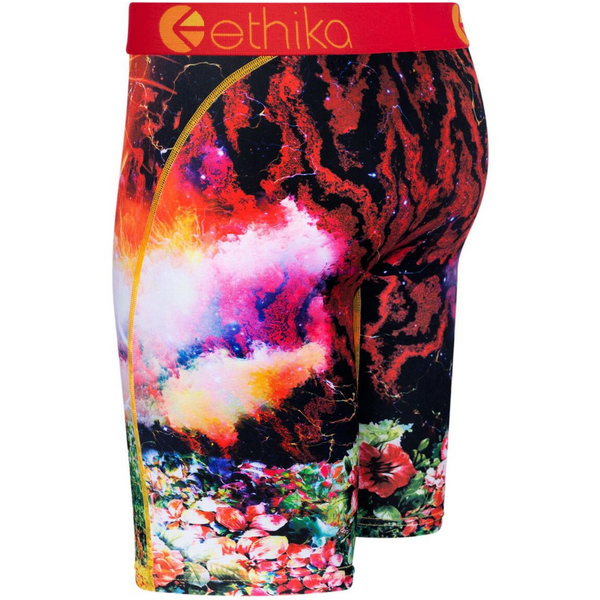 ETHIKA - MEN'S UNDERWEAR TIGER STORM